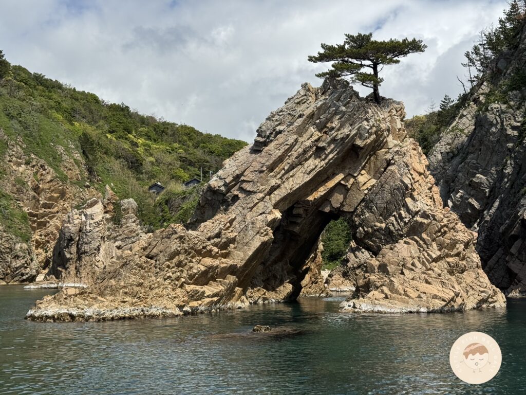 2026鳥取自由行｜不自駕也能輕鬆玩！浦富海岸交通、3大遊覽船比較與預約攻略